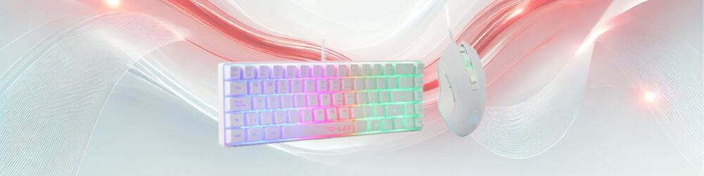 clavier souris blanc