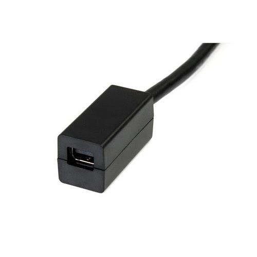 DisplayPort to Mini DisplayPort Adapter - Achat / Vente sur grosbill.com - 2