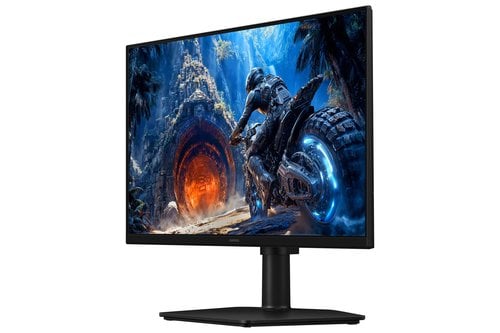 25IN FLAT FHD 1920X1080 300 HZ - Achat / Vente sur grosbill.com - 4