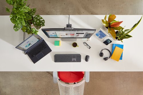MX KEYS FOR BUSINESS - GRAPHITE - Achat / Vente sur grosbill.com - 2