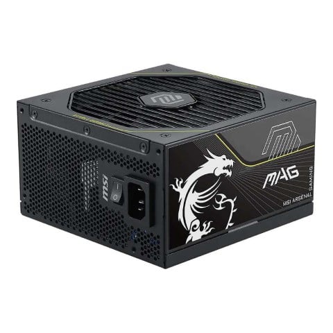 MSI 80+ Platinum (1000W) - Alimentation MSI - grosbill.com - 0