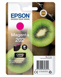 Consommable imprimante Epson Grosbill