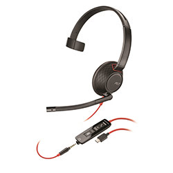 Poly BLACKWIRE 5210 C5210 USB A WW
