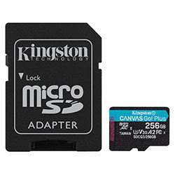 image produit Kingston Canvas Go! Plus SDCG3/256GB Grosbill