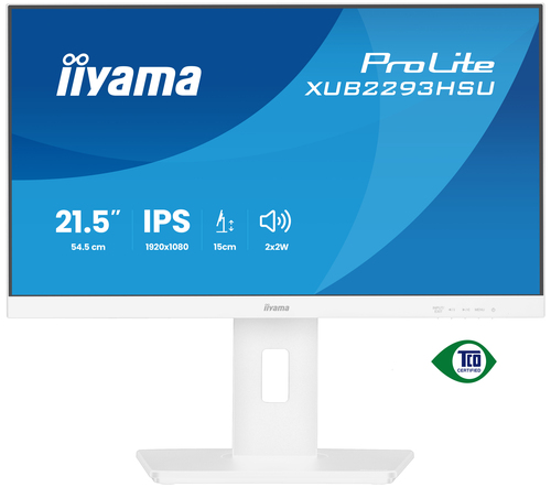Ecran PC Iiyama Grosbill