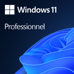 Logiciel système exploitation Microsoft Grosbill