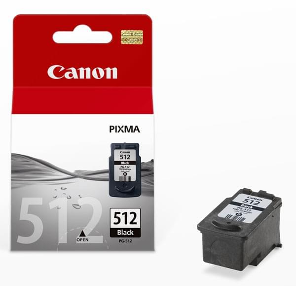 Canon Cartouche dencre PG-560 dorigine noir 3713C001 Cartouche dimprimante