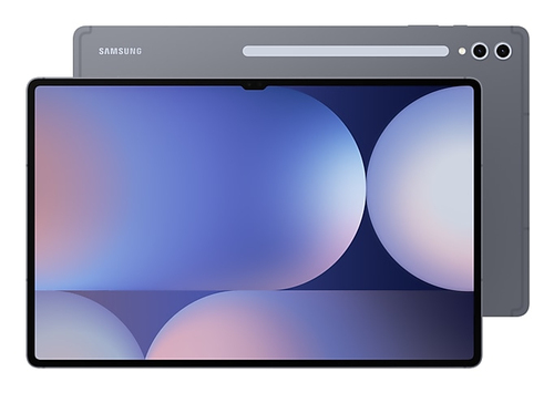 Samsung Galaxy Tab S10 Ultra X920NZA Gris - Tablette tactile - 1