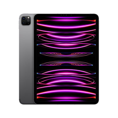 iPad Pro 11 Wi-Fi Cl 2T Gray - Achat / Vente sur grosbill.com - 1