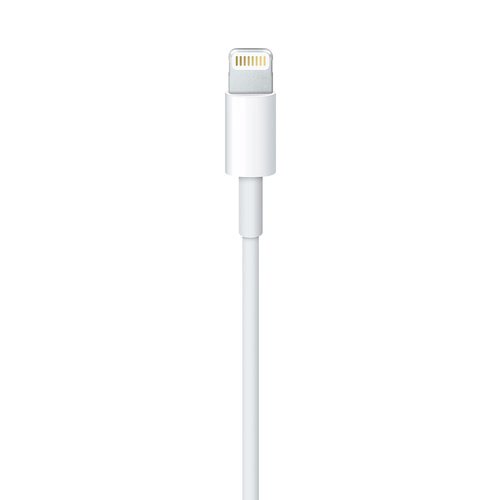 Lightning To USB Cable 1 M - Achat / Vente sur grosbill.com - 2