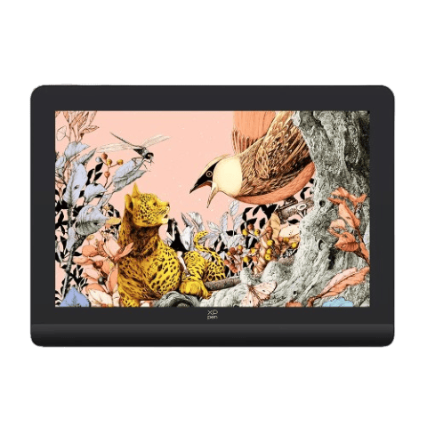 Tablette graphique XPPEN Grosbill