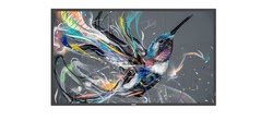 Affichage dynamique Philips Grosbill