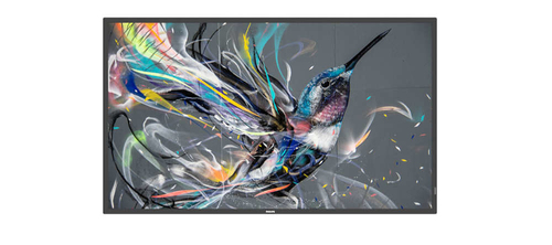 Philips 55" Q-Line 18/7 4K UHD - Achat / Vente sur grosbill.com - 0