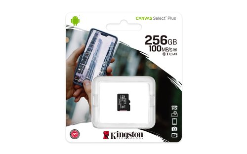 256GB micSDXC 100R A1 C10 w/o ADP - Achat / Vente sur grosbill.com - 2
