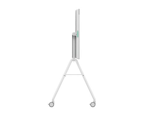 RALLY BOARD 65 CART WHITE - Achat / Vente sur grosbill.com - 1