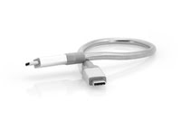 USB 3.1 Type-C to Type-C Cable 30cm - Achat / Vente sur grosbill.com - 2