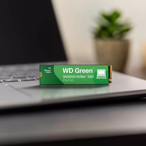 Western Digital GmbH WD Green SN3000  M.2 - Disque SSD - 4