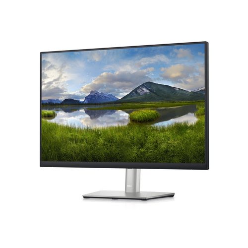 DELL 24"  DELL-P2423 - Ecran PC DELL - grosbill.com - 1