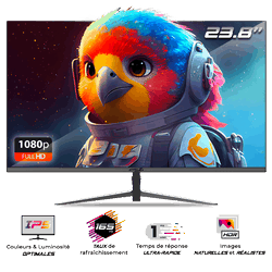 Ecran PC Spirit Of Gamer Grosbill