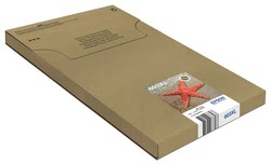 Consommable imprimante Epson Grosbill
