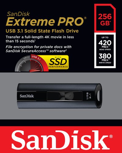 Ext PRO USB3.1 SolidStateFlashDrive256GB - Achat / Vente sur grosbill.com - 6