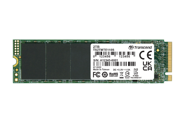 Transcend TS256GMTE110S  M.2 - Disque SSD Transcend - grosbill.com - 1