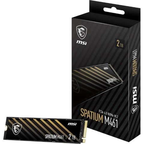 MSI S78-440L1D0-P83 M461 2TB GEN4 NVMe   - Disque SSD MSI - 0
