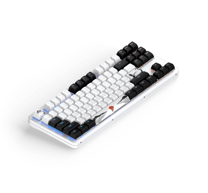 Dark Project Fuji 87 - Clavier PC Dark Project - grosbill.com - 2