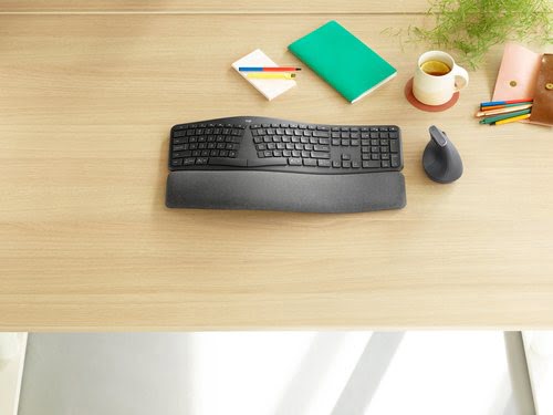 K860 for Business Graphite - Achat / Vente sur grosbill.com - 4