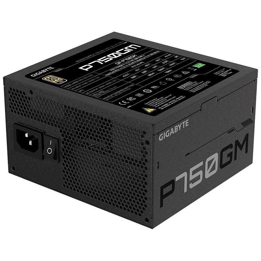 Gigabyte P750GM Fully Modular (750W 80+ Gold) - Alimentation - 5