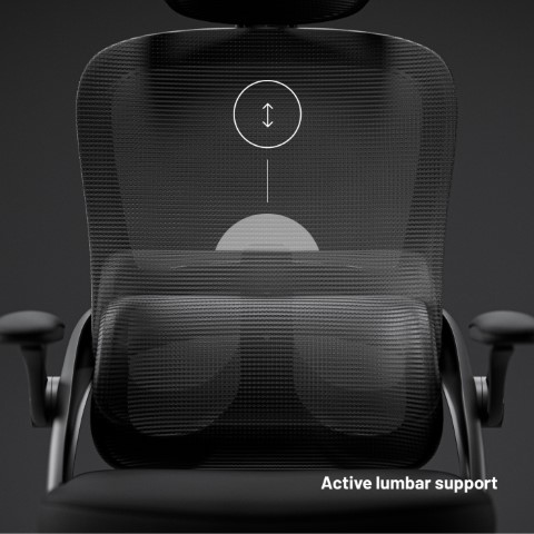 Diablo Chairs  V-Light Noir - Siège PC Gamer - grosbill.com - 11