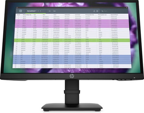 HP P22 G4 - IPS/5ms/FHD/HDMI