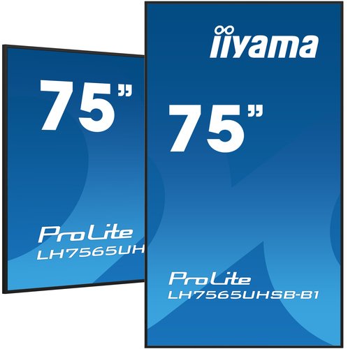 Ecran PC Iiyama Grosbill