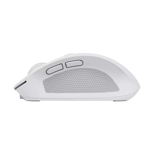Trust OZAA Compact - Souris PC Trust - grosbill.com - 3