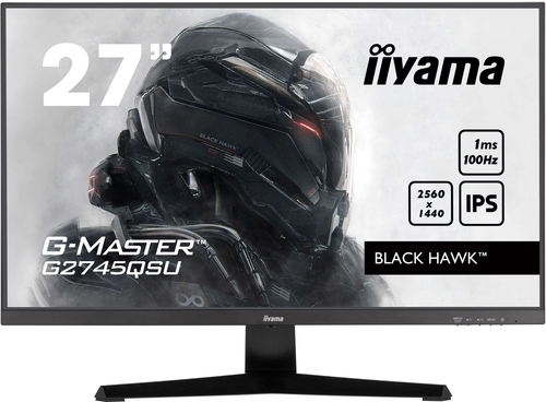 Ecran PC Iiyama Grosbill