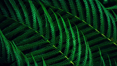 27B2G5601/00 27" 16:9 IPS 100Hz - Achat / Vente sur grosbill.com - 13