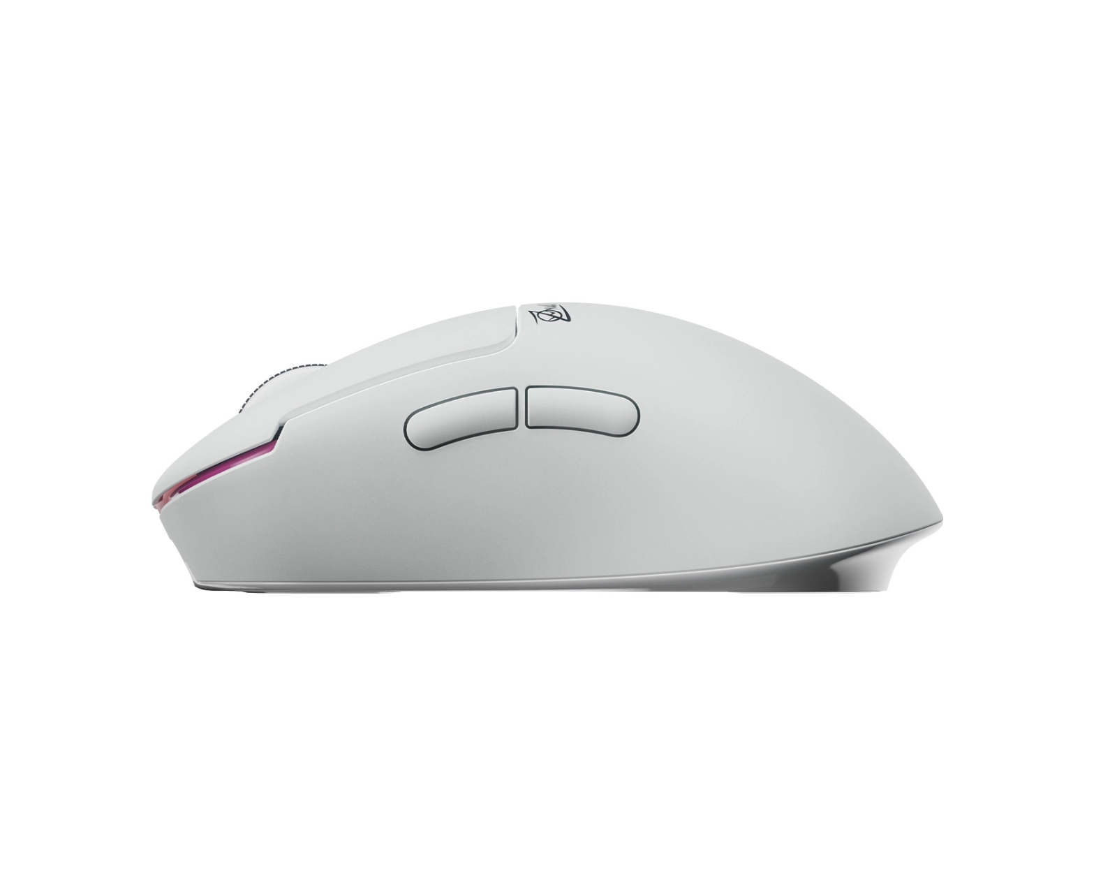 Pulsar ZywOo the Chosen - Souris PC Pulsar - grosbill.com - 1