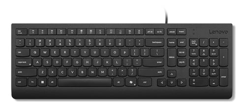 LENOVO ESSENT.WIRED KEYBOARDUK - Achat / Vente sur grosbill.com - 0