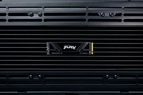 Kingston Fury Renegade G5  M.2 - Disque SSD Kingston - grosbill.com - 3