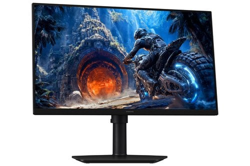 25IN FLAT FHD 1920X1080 300 HZ - Achat / Vente sur grosbill.com - 10