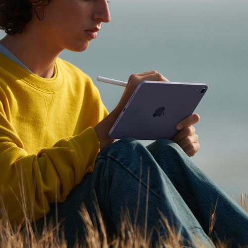 iPad Mini Wi-Fi 64GB Starlight - Achat / Vente sur grosbill.com - 3