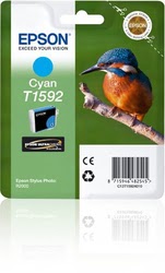 Consommable imprimante Epson Grosbill