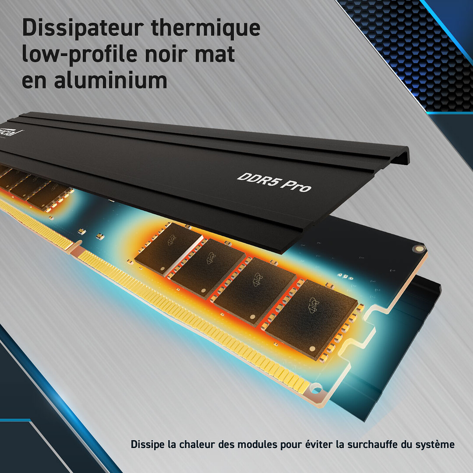 Crucial Pro 24Go (1x24Go) DDR5 6000MHz - Mémoire PC Crucial sur grosbill.com - 2