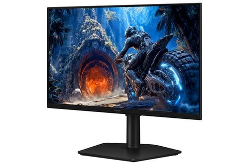 25IN FLAT FHD 1920X1080 300 HZ - Achat / Vente sur grosbill.com - 2