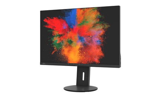 Fujitsu DISPLAY B2410 WS