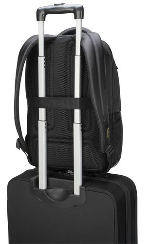 Citygear 14" Backpack Black (TCG655GL) - Achat / Vente sur grosbill.com - 5