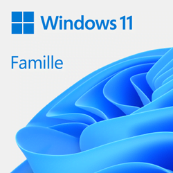 Logiciel système exploitation Microsoft Grosbill