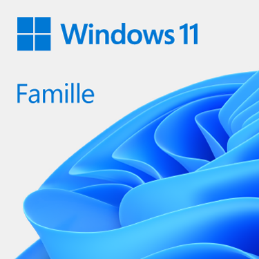 Microsoft Windows 11 Home 64Bits COEM