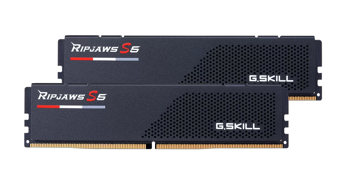 G.Skill F5-6000J4048F24GX2-RS5K (2x24Go DDR5 6000 PC48000)