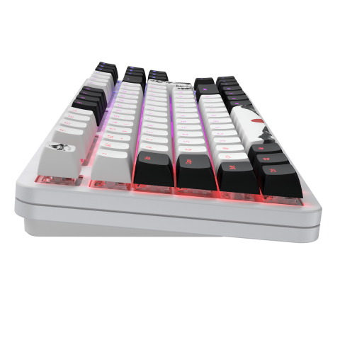 Dark Project Fuji 87 V2 - Clavier PC Dark Project - grosbill.com - 10